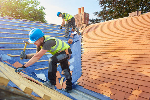 Best Roof Insulation Installation  in Blackstone, VA